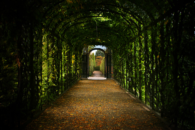 Garden Hallway